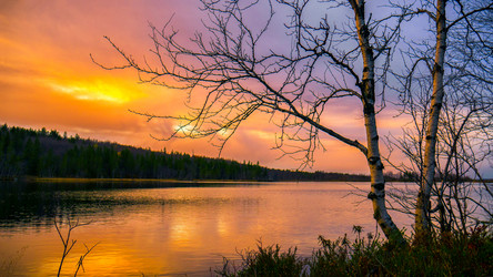 Similar image 12210980