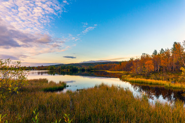 Similar image 12210981