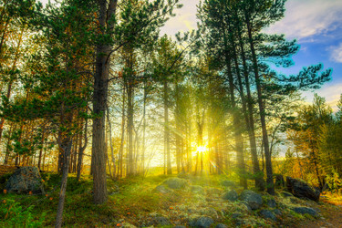 Similar image 12210982