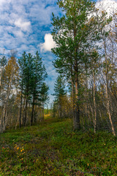 Similar image 12210995