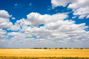 Similar image 12198790