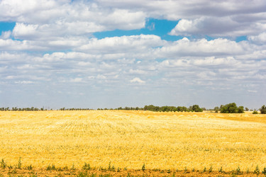 Similar image 12198791