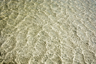 Similar image 12198795