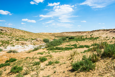 Similar image 12198821