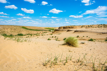 Similar image 12198827