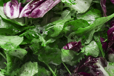 Similar image 12197272