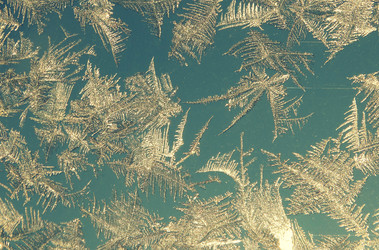 Similar image 12197366