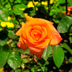 Similar image 12197444