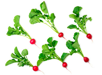 Similar image 12197446