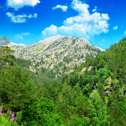 Similar image 12197451