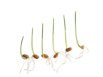 Similar image 12197152