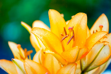 Similar image 12197127