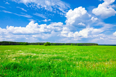 Similar image 12197131