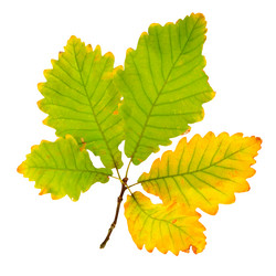 Similar image 12197461