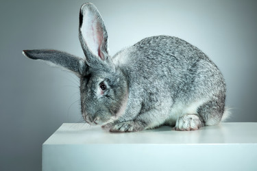 Similar image 12208866