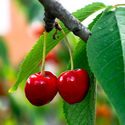 Similar image 12196983