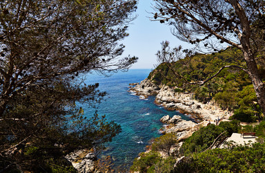 Similar image 12197017