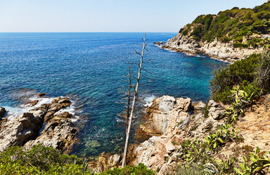 Similar image 12197018