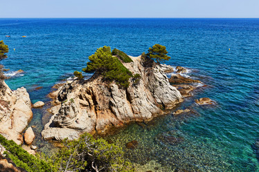 Similar image 12197021