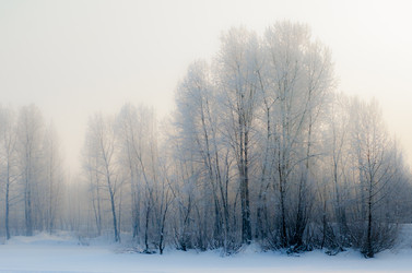 Similar image 12199010