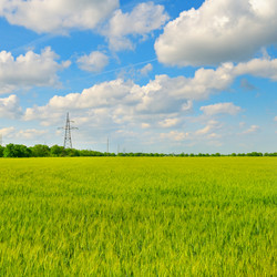 Similar image 12197475