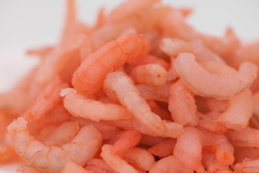 Similar image 12205071