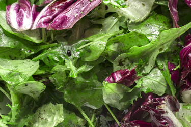 Similar image 12197276