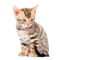 Similar image 12213404