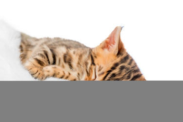 Similar image 12213405