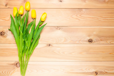 Similar image 12213430