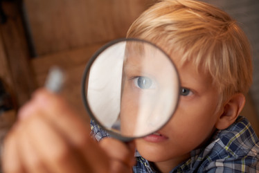 Similar image 12196684