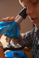 Similar image 12196699