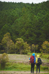 Similar image 12196741