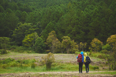 Similar image 12196742