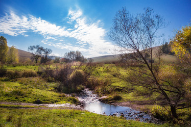 Similar image 12199012