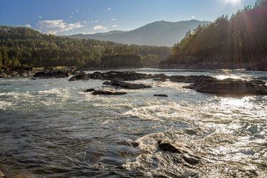 Similar image 12196985