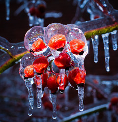 Similar image 12196987