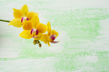 Similar image 12211151