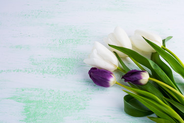 Similar image 12211319