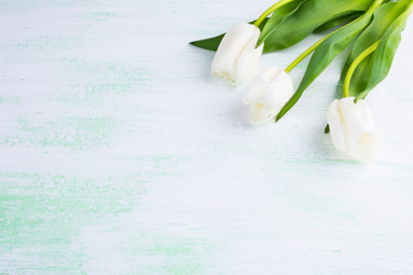 Similar image 12211393