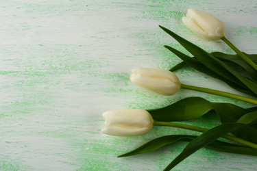 Similar image 12210222