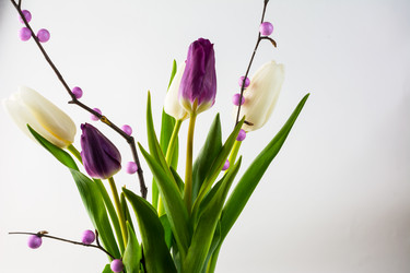 Similar image 12210235