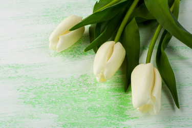 Similar image 12210237