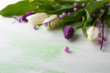 Similar image 12210279