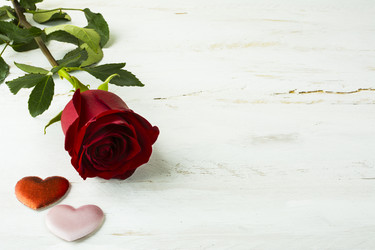 Similar image 12210712