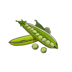 Similar image 12211049