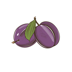 Similar image 12211360