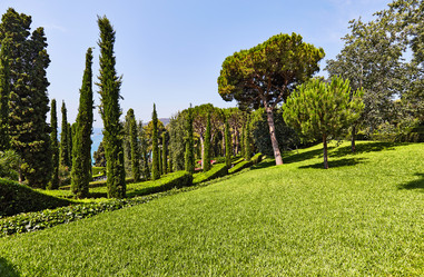 Similar image 12204356