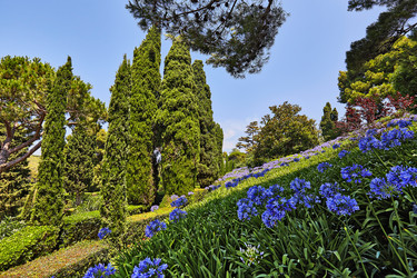 Similar image 12204359