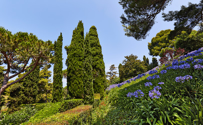 Similar image 12204360